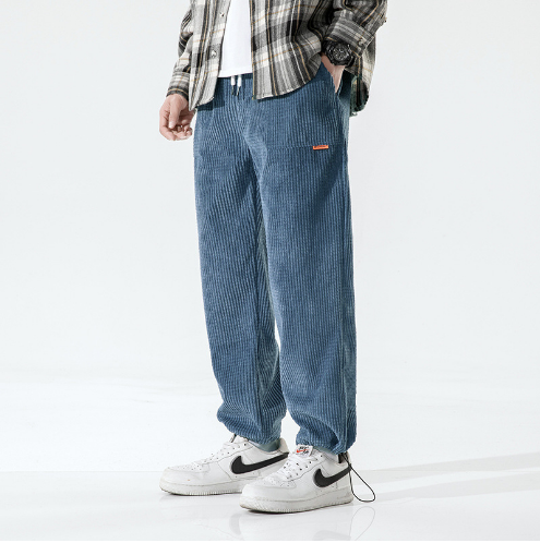 Eddy | Corduroy casual trousers